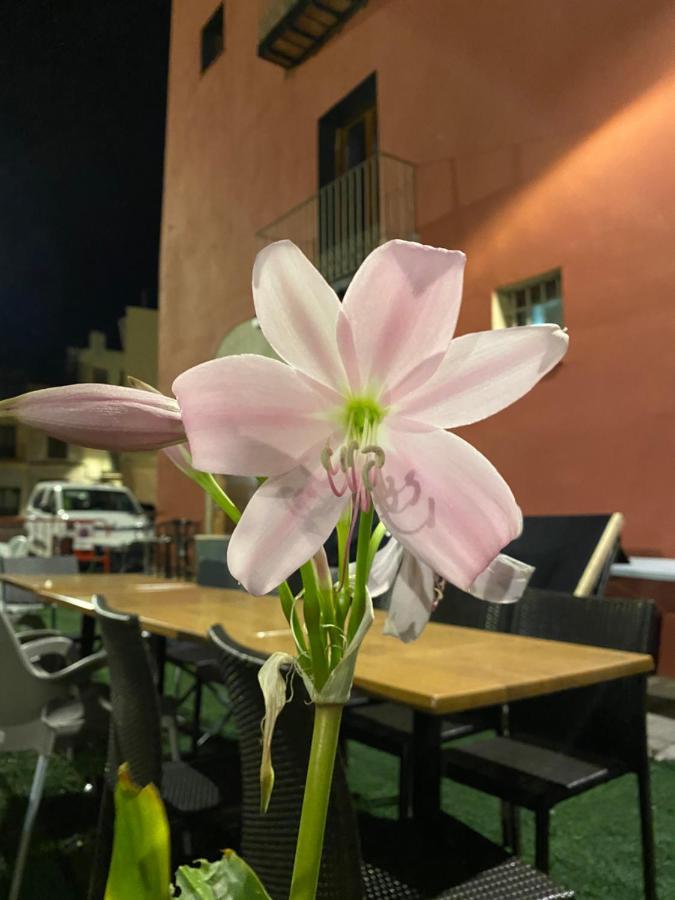 סנט מטאו Restaurant & Rooms Cabrit מראה חיצוני תמונה