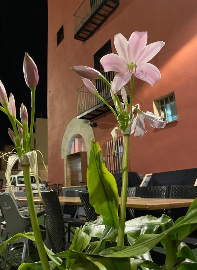 סנט מטאו Restaurant & Rooms Cabrit מראה חיצוני תמונה